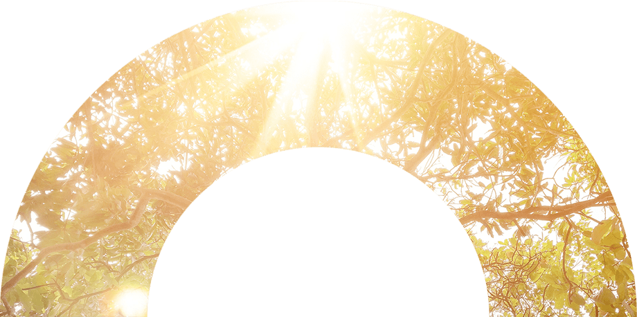 Z6ʱйٷվ